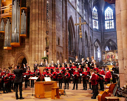 Domsingknaben Freiburg